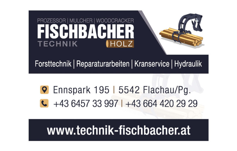 Logo Fischbacher Technik Holz 1